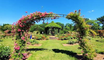 elizabeth-park-for-flower-loversv2.jpg