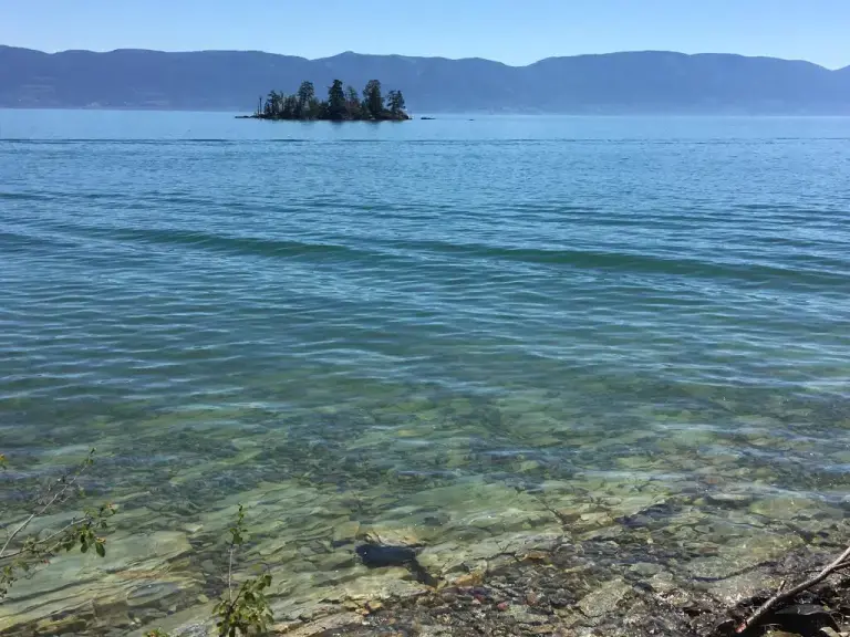 Flathead Lake - https://www.onlyinyourstate.com/
